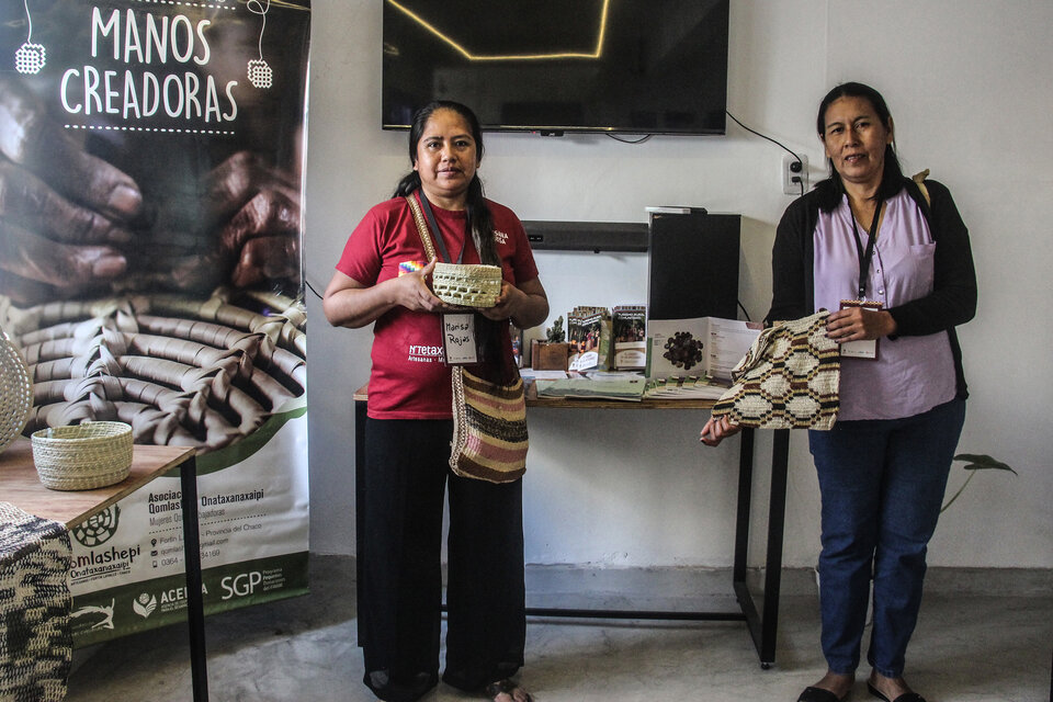 Google.org financia proyectos sociales de mujeres campesinas e indígenas del Gran Chaco