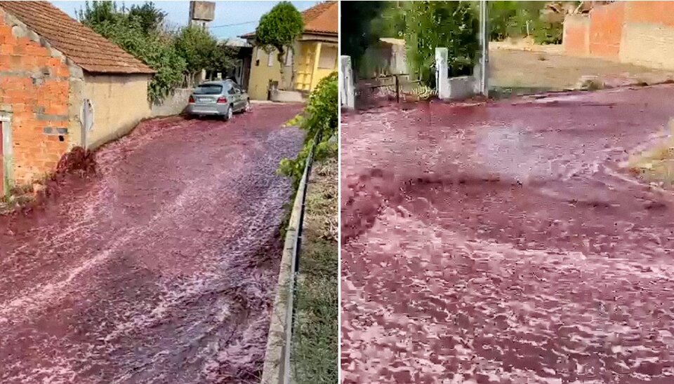 Fenómeno extraordinario: un río de vino tinto inundó una ciudad portuguesa