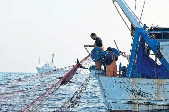 Pesca ilegal y trabajo forzoso en la milla 201