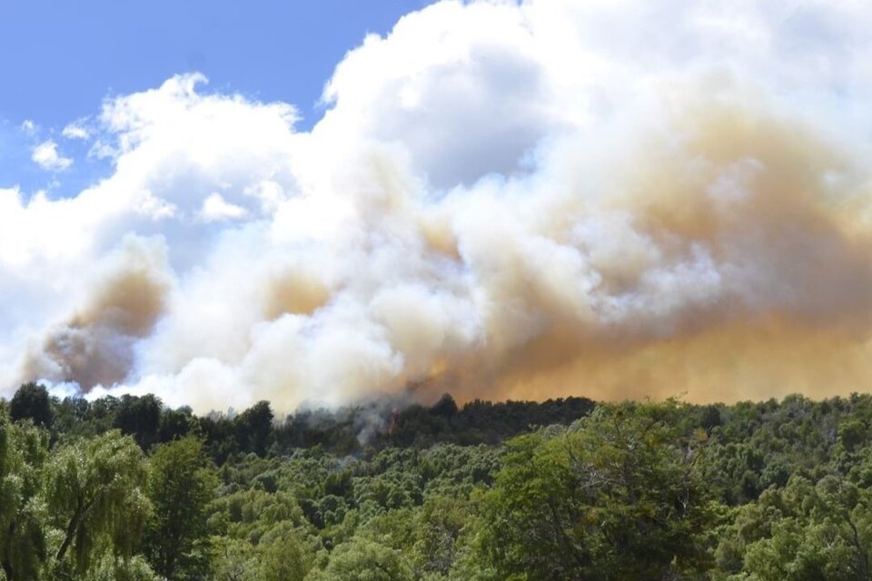 El fuego arrasó 3005 hectáreas