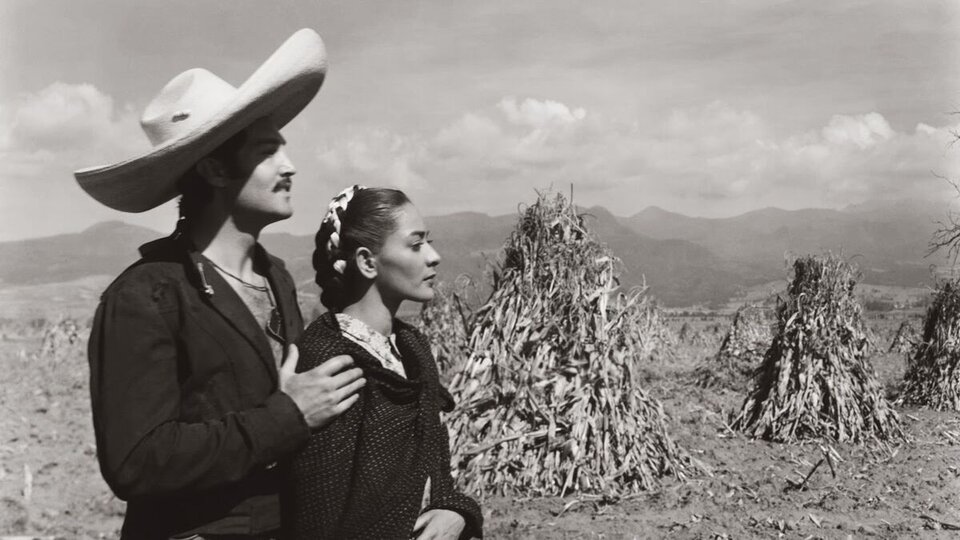 Cumbres del cine popular mexicano