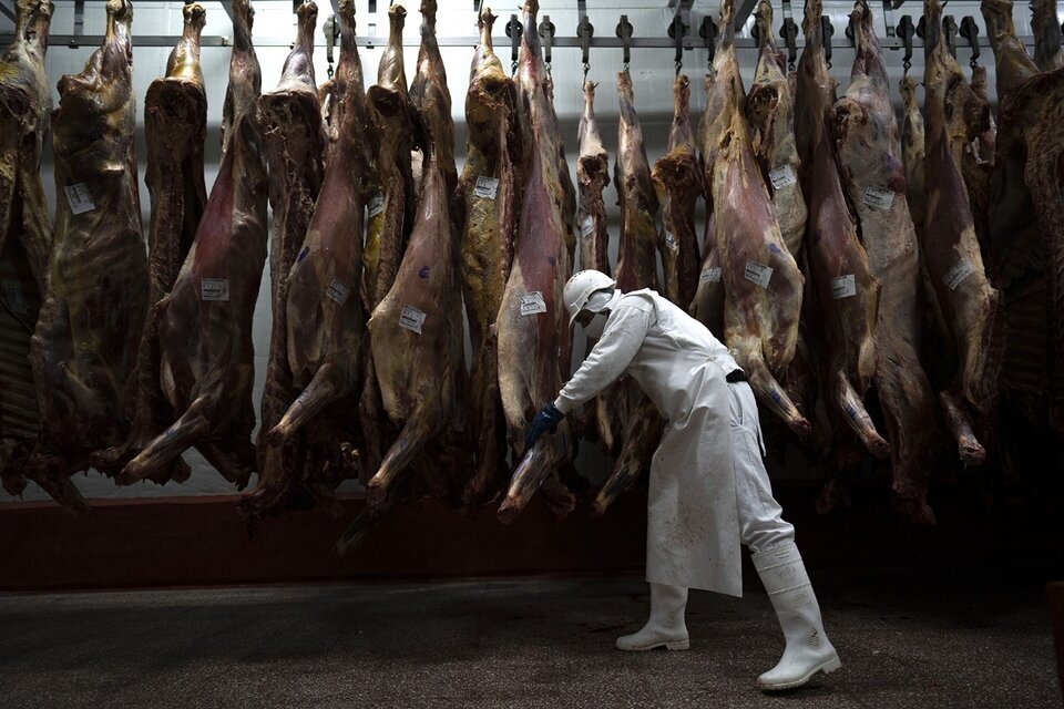 Cae el consumo de carne, pero crecen las exportaciones: 