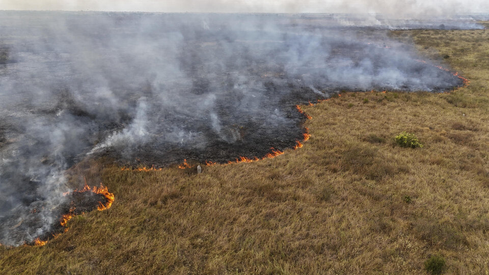 Los incendios dejan un manto de humo y cenizas en el Pantanal brasileño