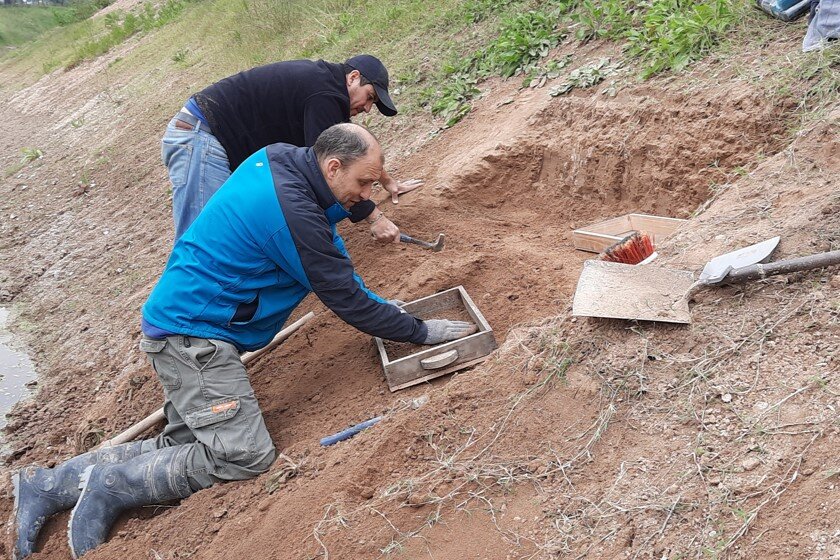 Hallaron en un gliptodonte la evidencia de presencia humana más antigua de Sudamérica