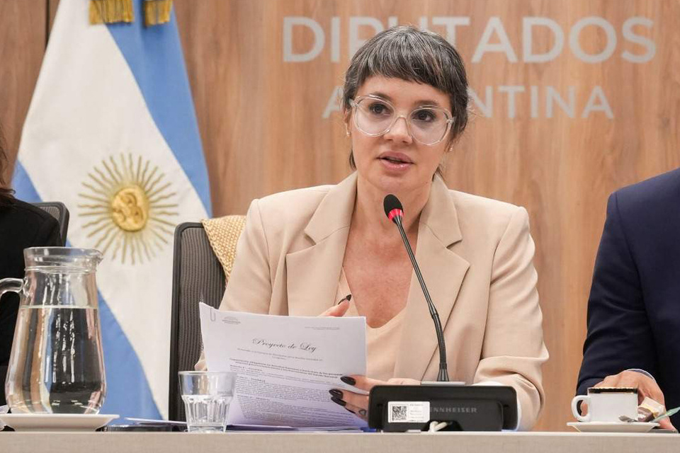 Gisela Marziotta: "Hay una cadena de responsabilidades que supera a los diputados"   thumbnail