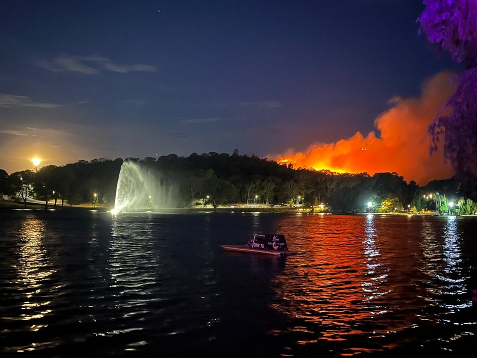 Incendio forestal en Tandil: los bomberos lograron contener las llamas