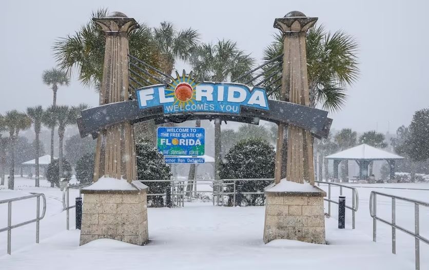 Las mejores fotos y videos de la nevada histórica en Florida