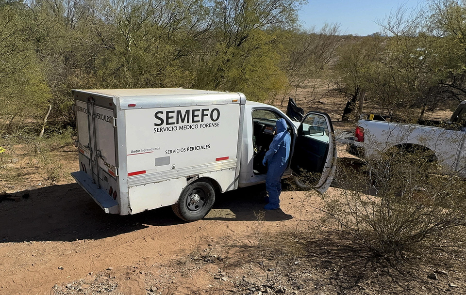 Madres buscadoras hallan 35 fosas clandestinas en Sonora 