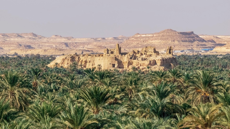 Siwa, legendario oasis del Sahara