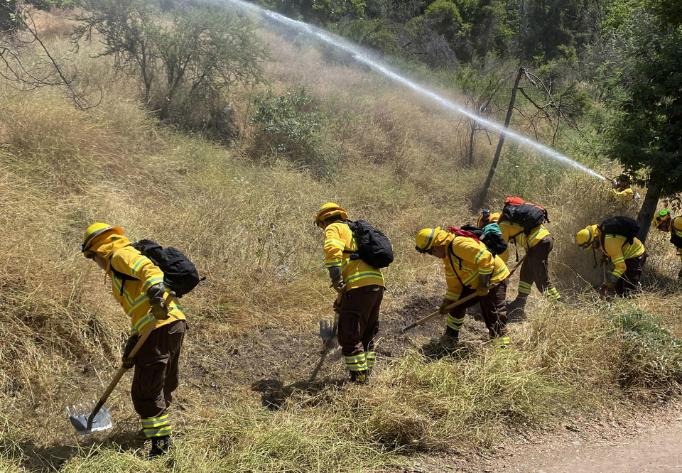 Incendios forestales en Chile: ya hay 14 detenidos 