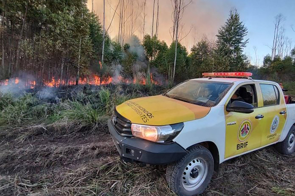 Más de 250 mil hectáreas quemadas en Corrientes