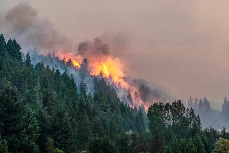 Incendios: el Pueblo y la naturaleza, abandonados 