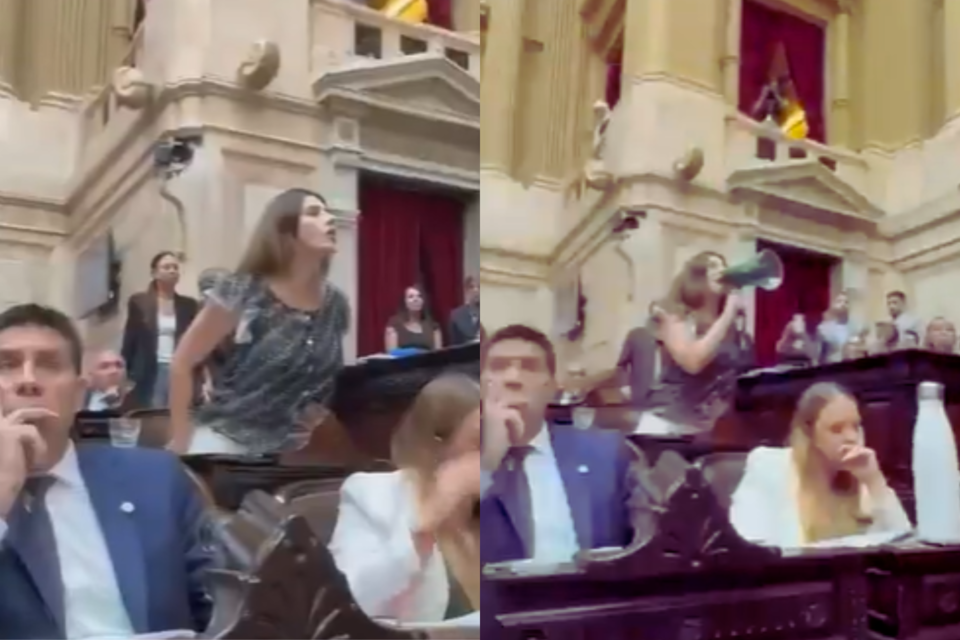 Marcela Pagano sacó un megáfono en Diputados y apuntó directo a Martín Menem  