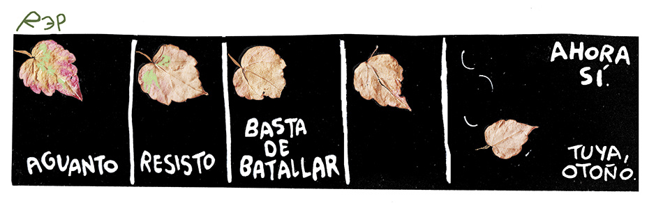 Humor