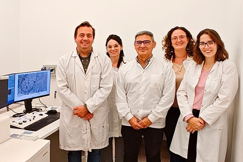 Científicos del Conicet descubrieron una nueva forma de frenar el crecimiento de tumores intracraneales