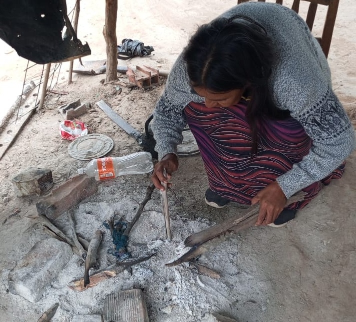 Piden resguardar a niños de comunidades indígenas del norte por un brote de enfermedades respiratorias