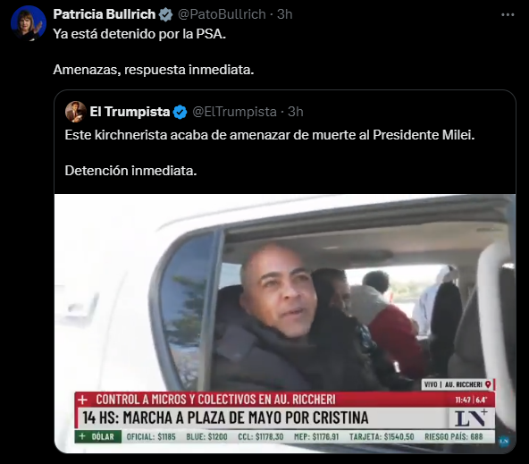 Patricia Bullrich festejó la detención de un manifestante por presuntas amenazas a Javier Milei - Image 3
