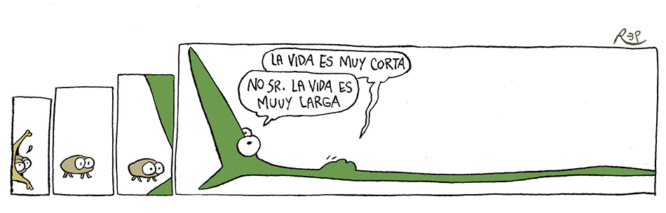 Humor