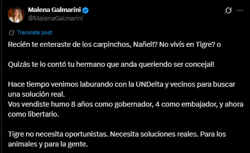 Scioli impulsa un plan para trasladar carpinchos del norte del conurbano bonaerense a zonas protegidas