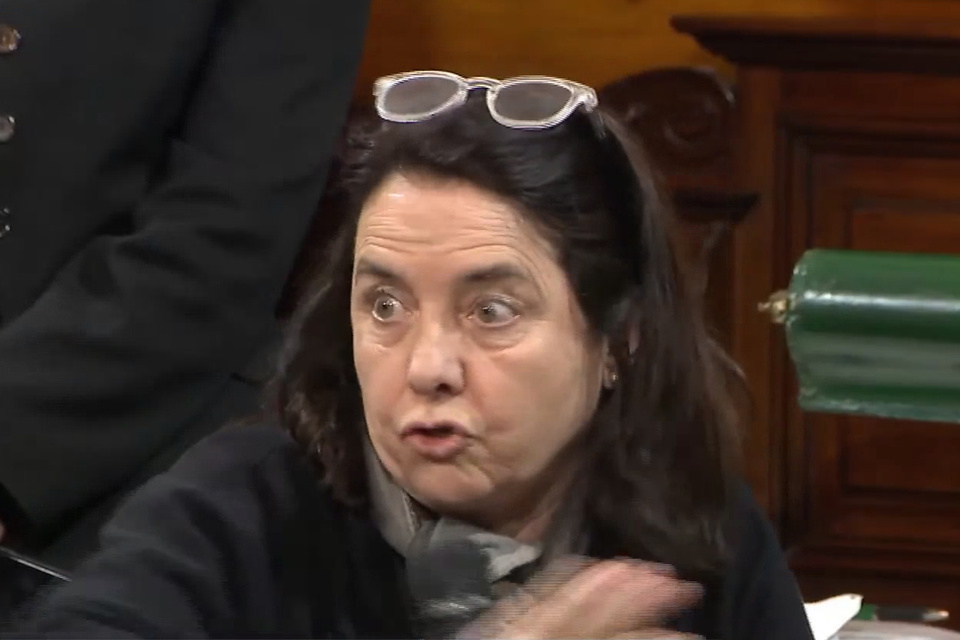 Senatorka Álvarez Rivero sprožila polemike z izjavo o pravici argentinskih otrok do zdravljenja v bolnišnici Garrahan