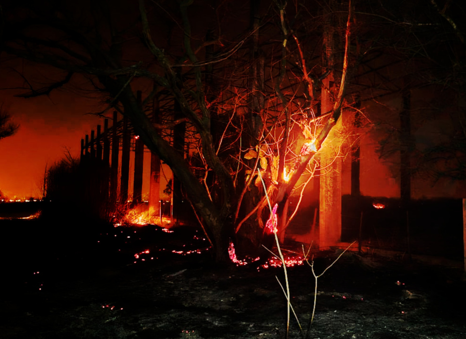 Salta lucha contra incendios: múltiples operativos de distintas áreas del norte del país - Image 3
