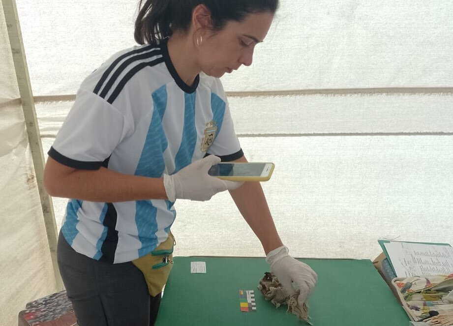 Los impactantes descubrimientos de un grupo de arqueólogas argentinas en Egipto
