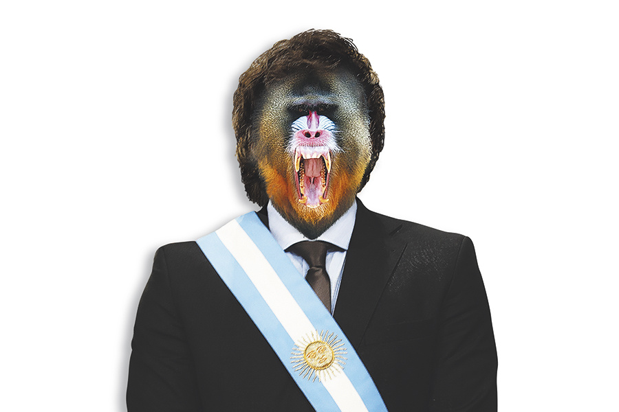 LA ESTRATEGIA DE LOS MANDRILES